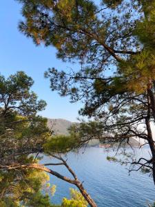 karaoz sapphire bungalows