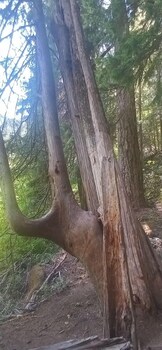 historical john rast house circa 1875