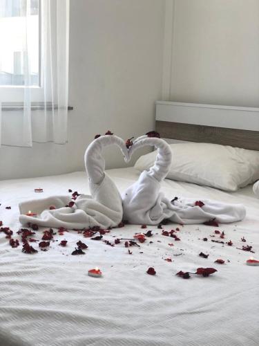 vera park premium apart otel