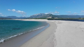 hotel sarena beach