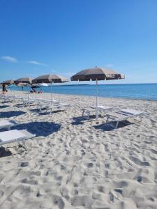 hotel sarena beach