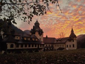 naturhotel schloss kassegg