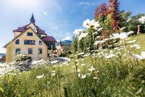 naturhotel schloss kassegg