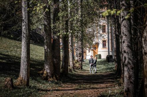 naturhotel schloss kassegg