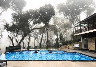 the silver sky resorts