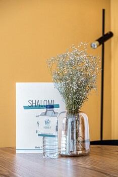 hayarkon allenby classic style by homy