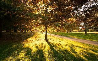 christchurch