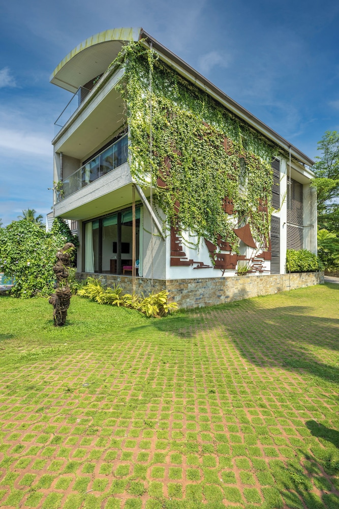 ama stays and trails sherlys ente kumbalanghi kochi