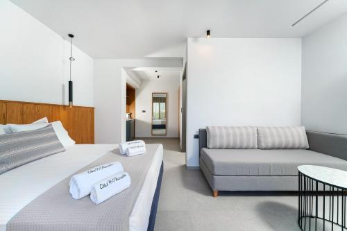 olia thassos luxury apartments