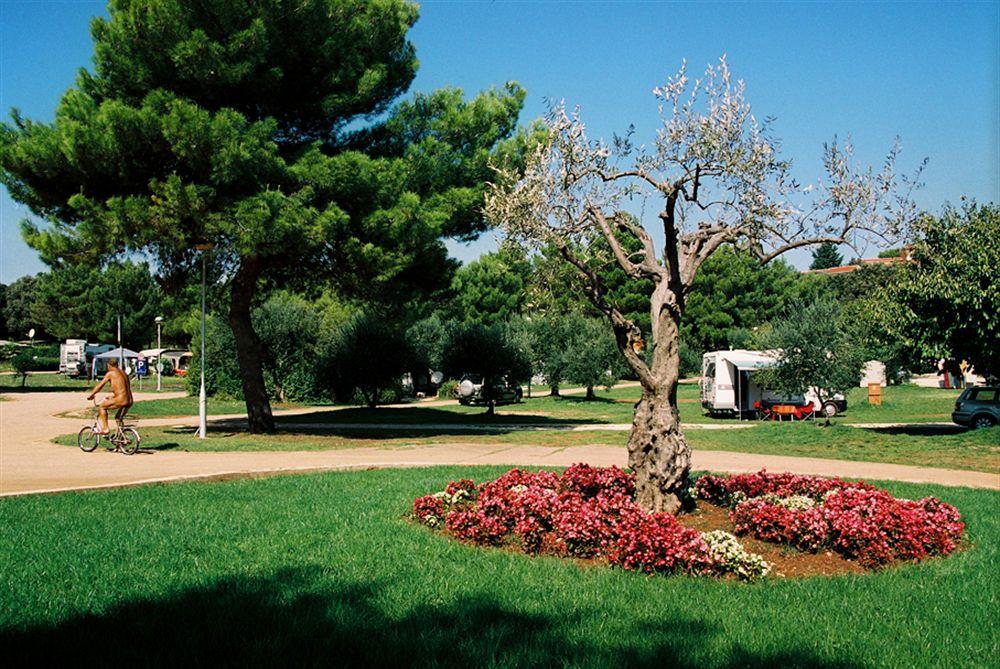 maistra select koversada naturist apartments