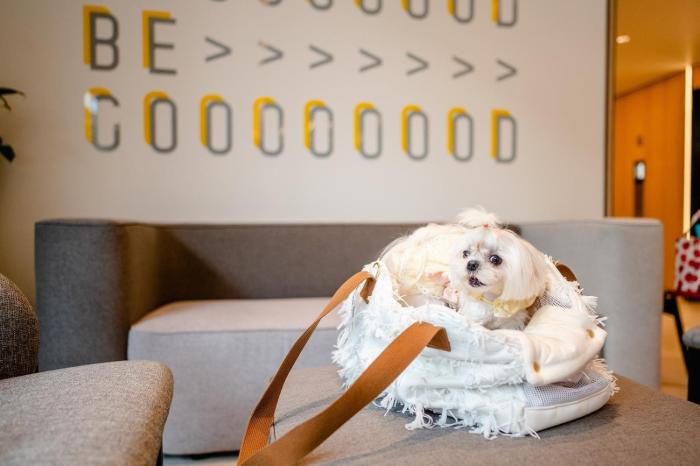 oakwood studios sukhumvit bangkok