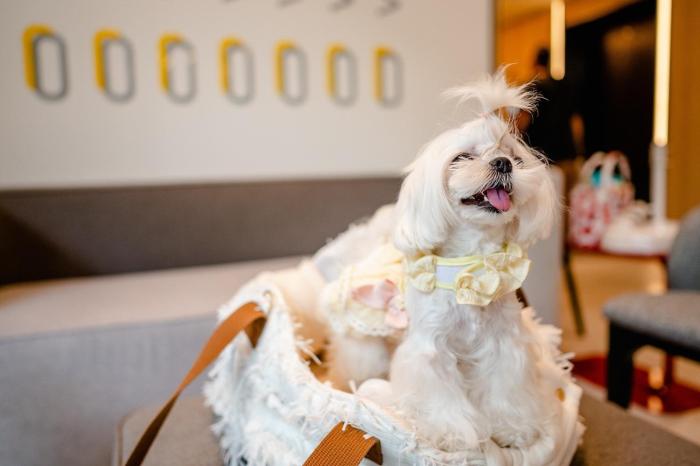 oakwood studios sukhumvit bangkok