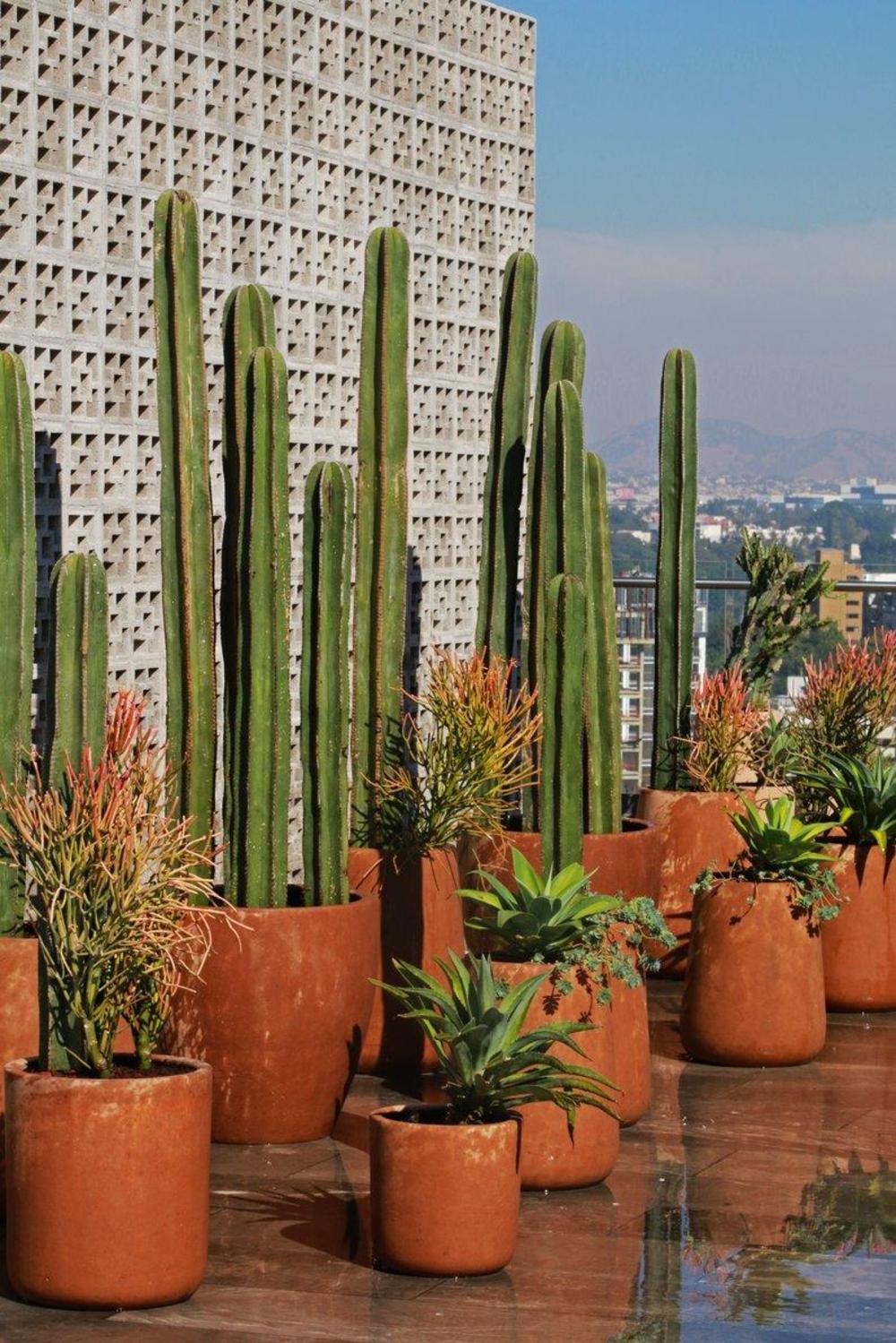 voco guadalajara neruda an ihg hotel