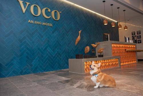 voco guadalajara neruda an ihg hotel