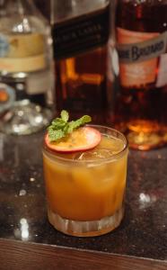 ville de mont mountain resort