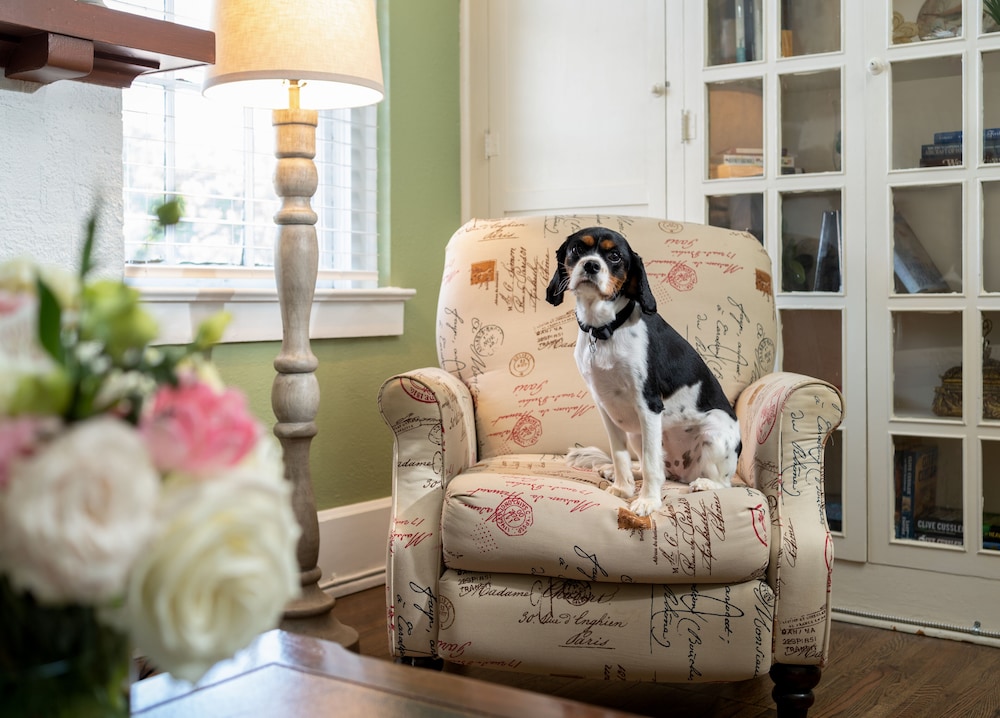 magnolia manor and chapel