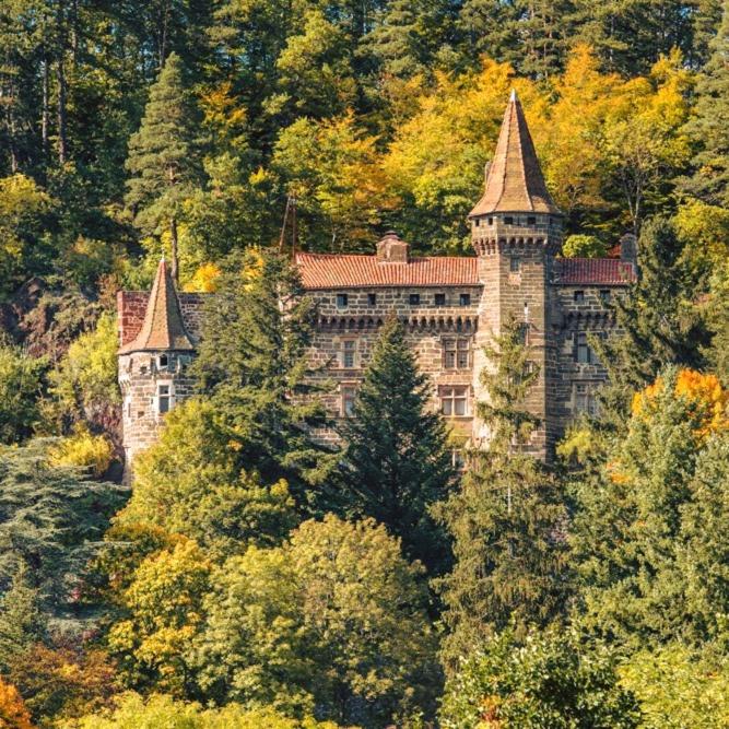 chateau de saint vidal