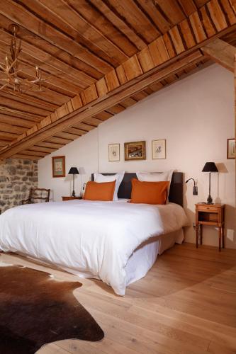 chateau de saint vidal