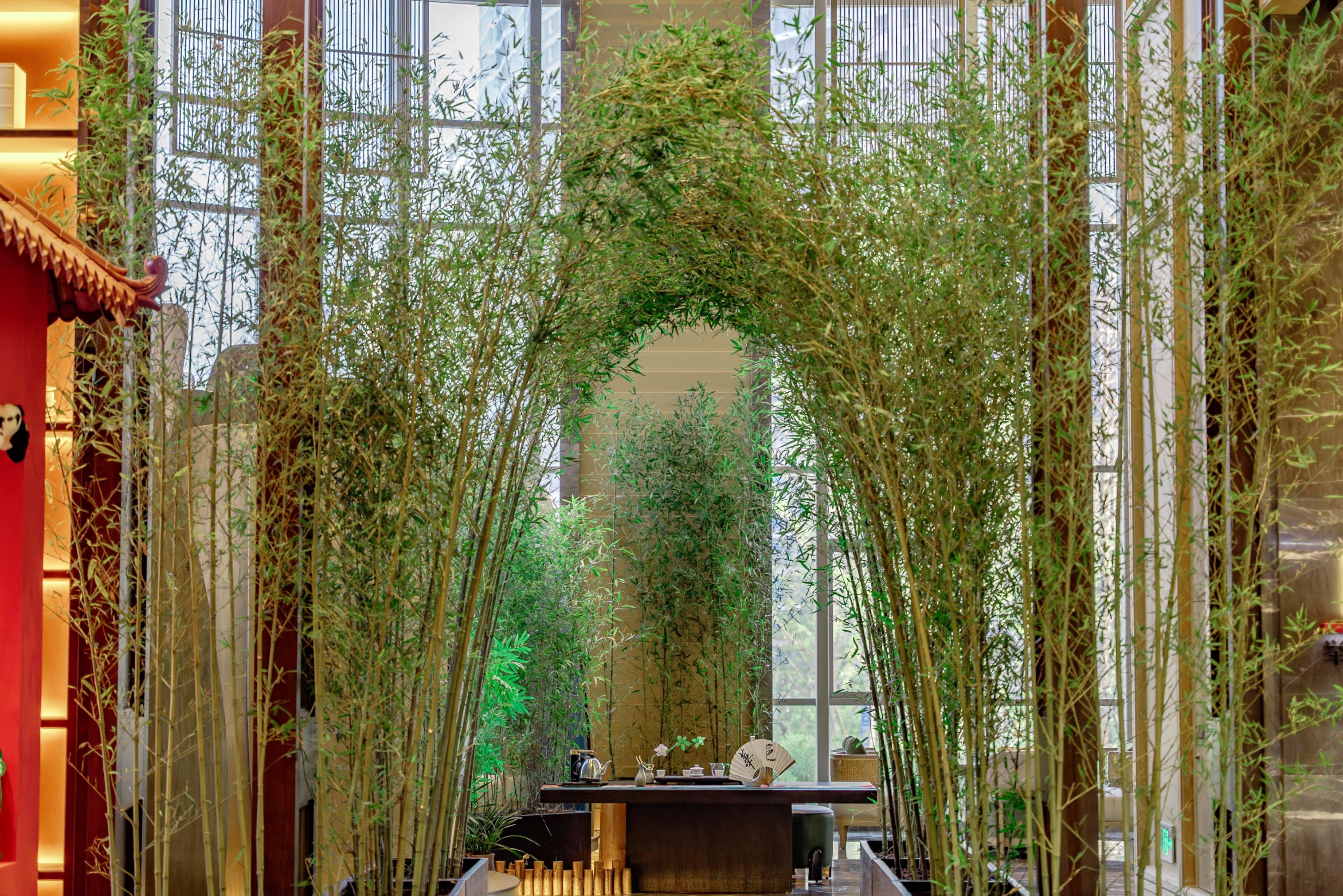 hualuxe yibin an ihg hotel
