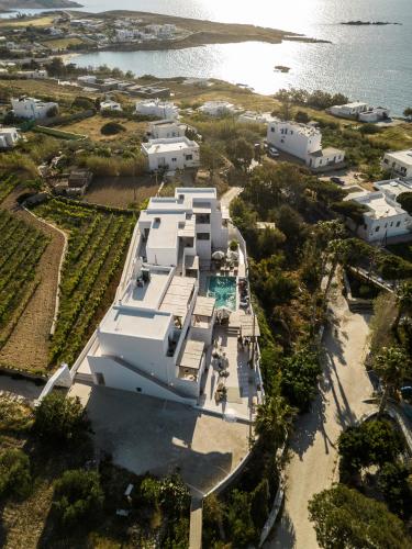 parea paros adults only