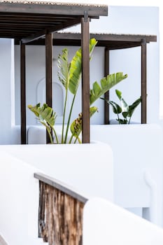 parea paros adults only