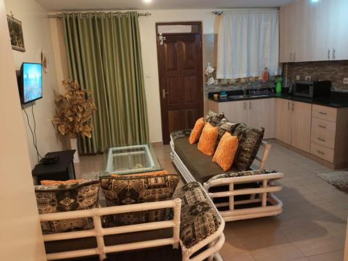 stay plus naivasha road studio apartment