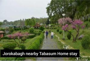 pop tabasum homestay