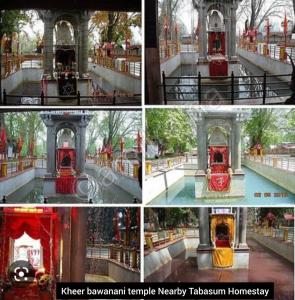 pop tabasum homestay