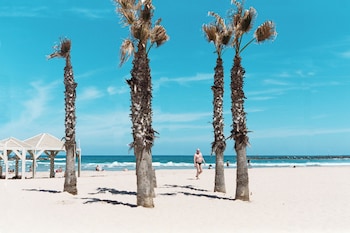 wom beach by brown hotels