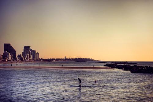 wom beach by brown hotels