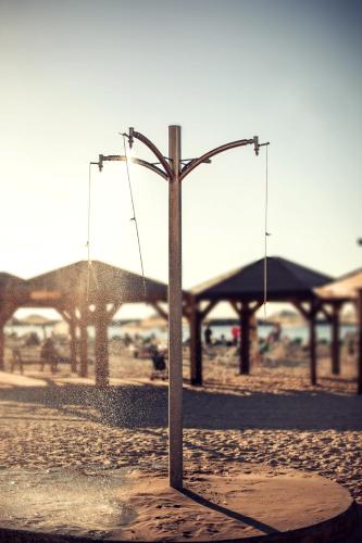 wom beach by brown hotels