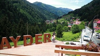 rize