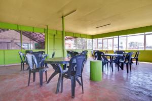 collection o lala homes