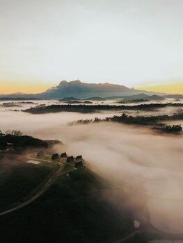 venda nova do imigrante