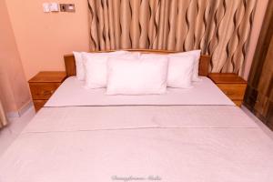 stunning 2 bedroom furnished apartment in accra