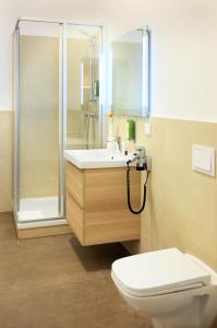 jimmys apartments dandelion