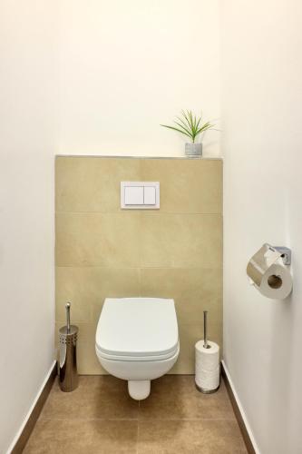 jimmys apartments dandelion