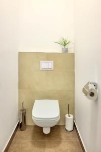 jimmys apartments dandelion