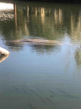 neptunes grotto waterfront retreat