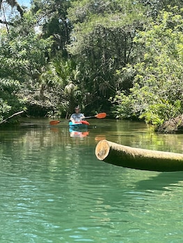 neptunes grotto waterfront retreat