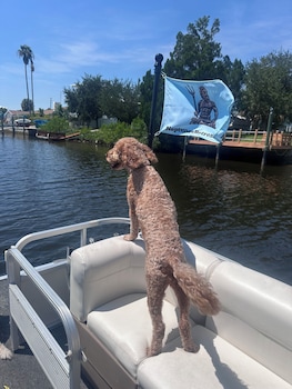 neptunes grotto waterfront retreat