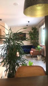 garni hotel vladimir