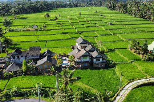 ananda jj ubud resort and spa