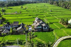 ananda jj ubud resort and spa