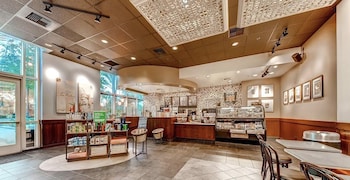 mgm vegas signature suites collection