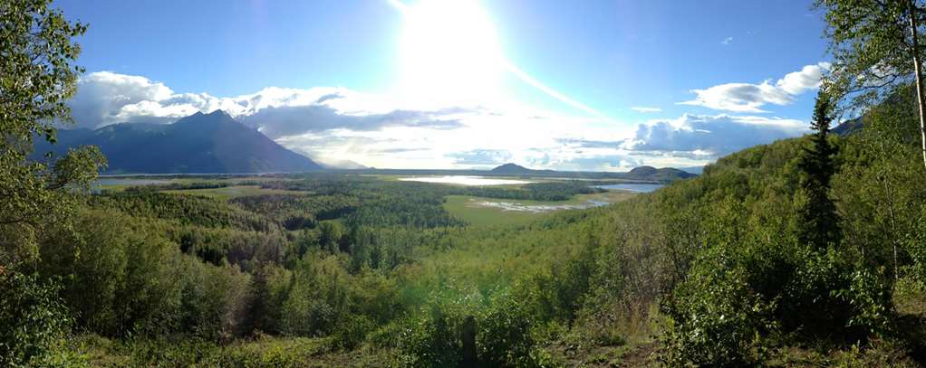 wasilla