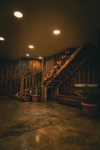 hotel hacienda dorotea