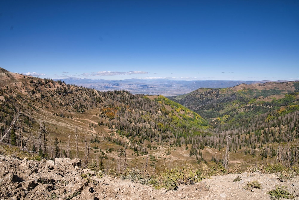 ranchette ponderosa the freemont 2 at wind walker homestead