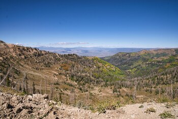 ranchette ponderosa the freemont 2 at wind walker homestead