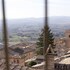assisi